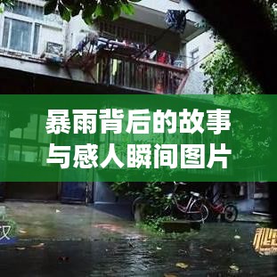 暴雨背后的故事与感人瞬间图片集