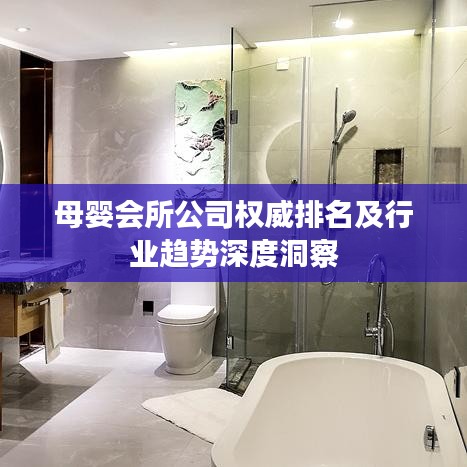 母婴会所公司权威排名及行业趋势深度洞察