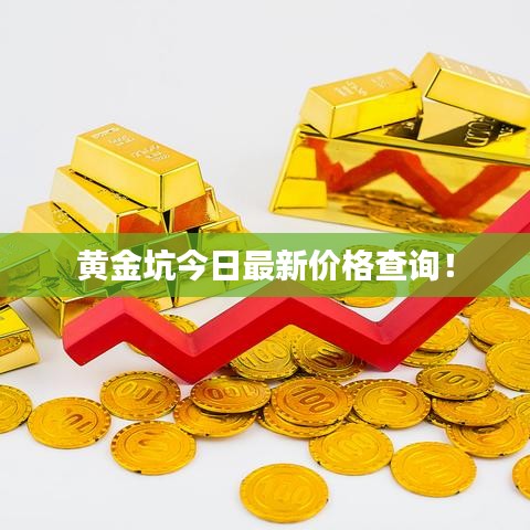 黄金坑今日最新价格查询！