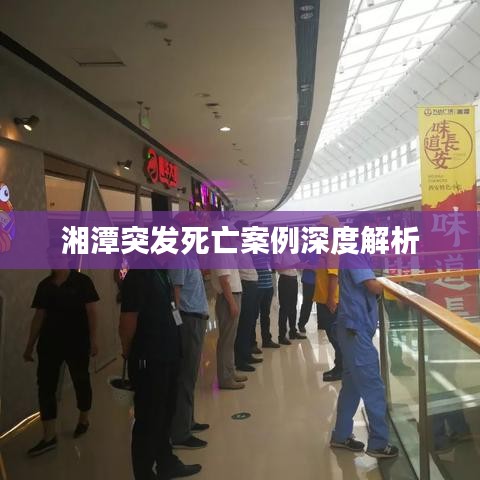湘潭突发死亡案例深度解析
