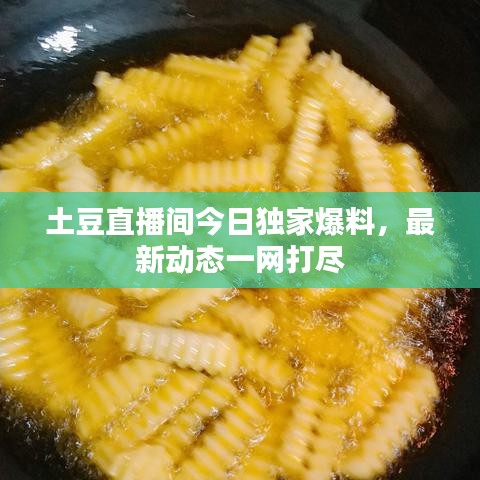 土豆直播间今日独家爆料，最新动态一网打尽