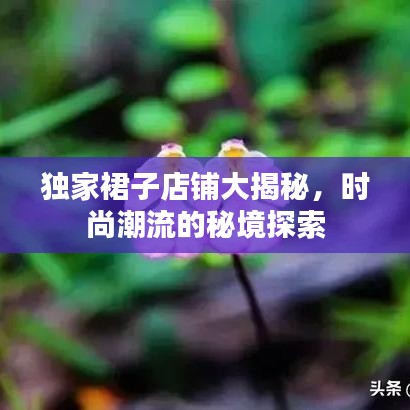 独家裙子店铺大揭秘，时尚潮流的秘境探索