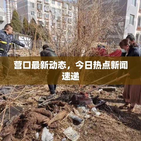 营口最新动态，今日热点新闻速递