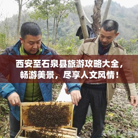 展翅欲飞
