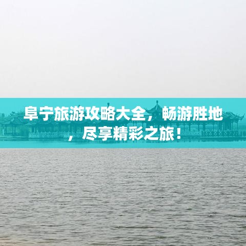 管窥蛙见