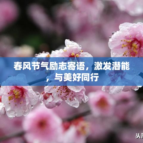 春风节气励志寄语，激发潜能，与美好同行