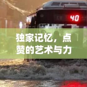 独家记忆，点赞的艺术与力量，深度剖析！