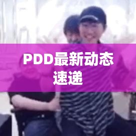 PDD最新动态速递