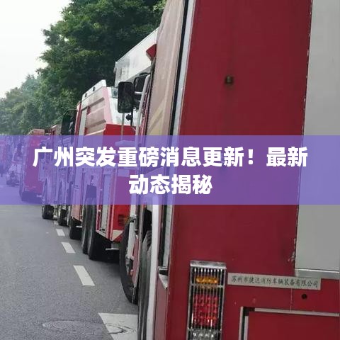 广州突发重磅消息更新！最新动态揭秘