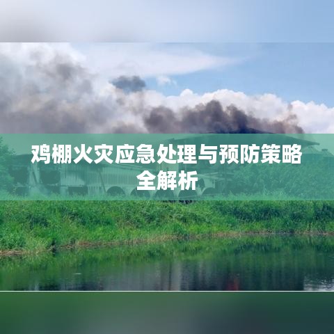 鸡棚火灾应急处理与预防策略全解析
