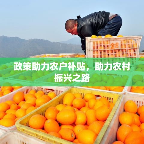 政策助力农户补贴，助力农村振兴之路