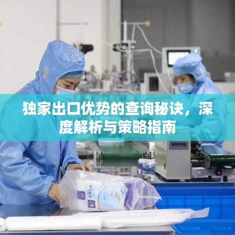 独家出口优势的查询秘诀，深度解析与策略指南