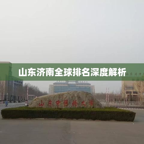 山东济南全球排名深度解析