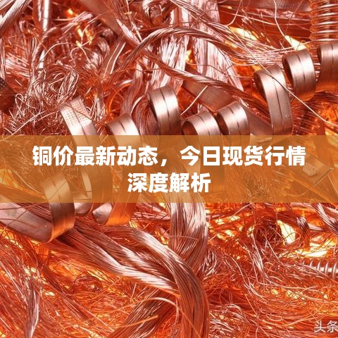铜价最新动态，今日现货行情深度解析