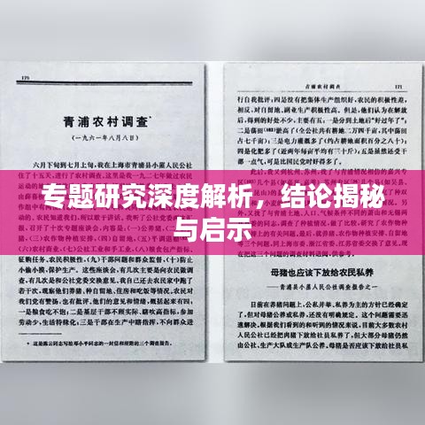 专题研究深度解析，结论揭秘与启示