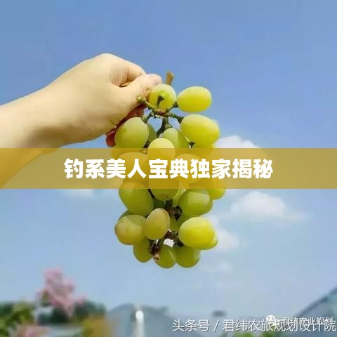 钓系美人宝典独家揭秘