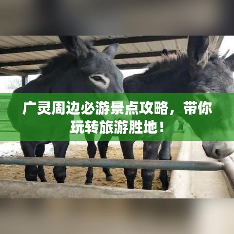 笼中之鸟
