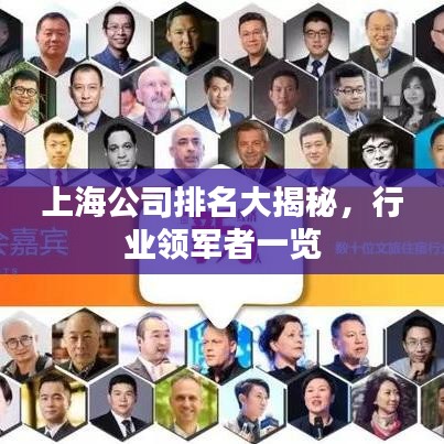 上海公司排名大揭秘，行业领军者一览