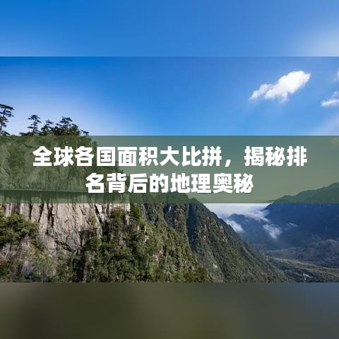 鸢飞戾天