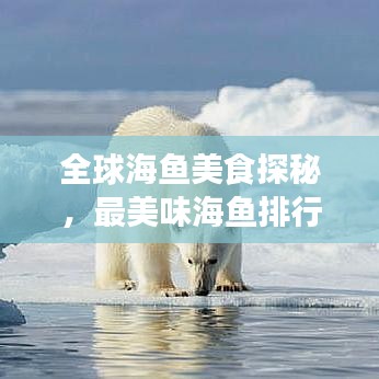 全球海鱼美食探秘，最美味海鱼排行榜揭晓