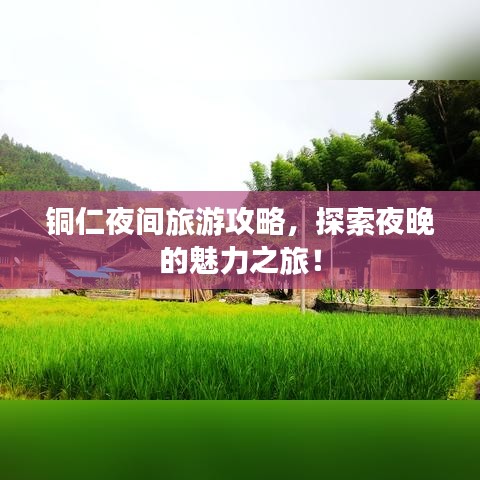 铜仁夜间旅游攻略，探索夜晚的魅力之旅！