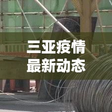 三亚疫情最新动态更新