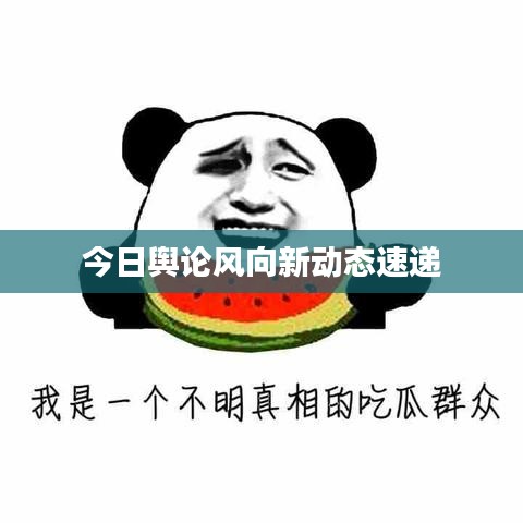 今日舆论风向新动态速递
