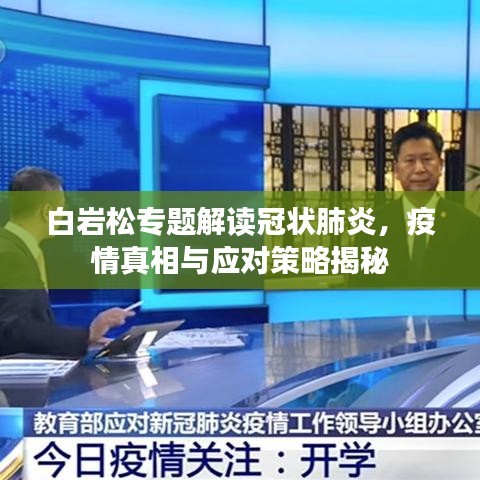 白岩松专题解读冠状肺炎，疫情真相与应对策略揭秘