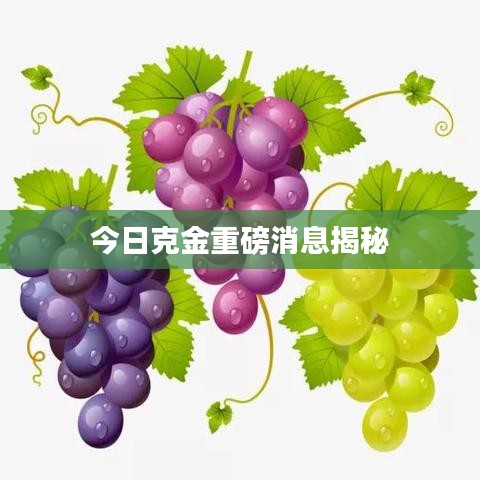 今日克金重磅消息揭秘