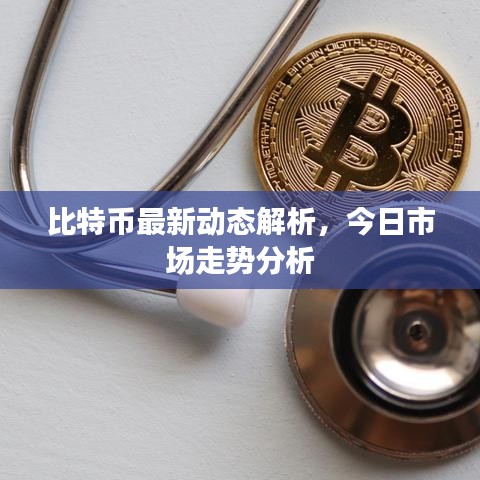 比特币最新动态解析，今日市场走势分析