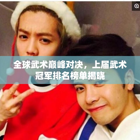 全球武术巅峰对决，上届武术冠军排名榜单揭晓