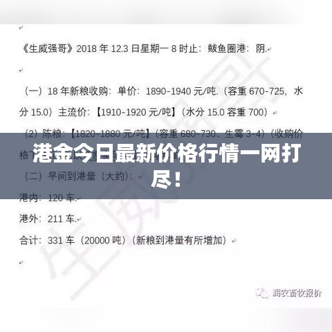 港金今日最新价格行情一网打尽！