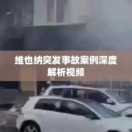 维也纳突发事故案例深度解析视频
