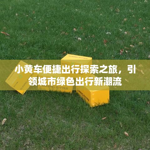 小黄车便捷出行探索之旅，引领城市绿色出行新潮流