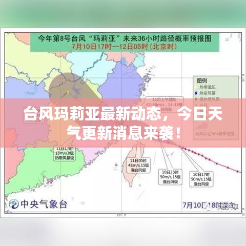 台风玛莉亚最新动态，今日天气更新消息来袭！
