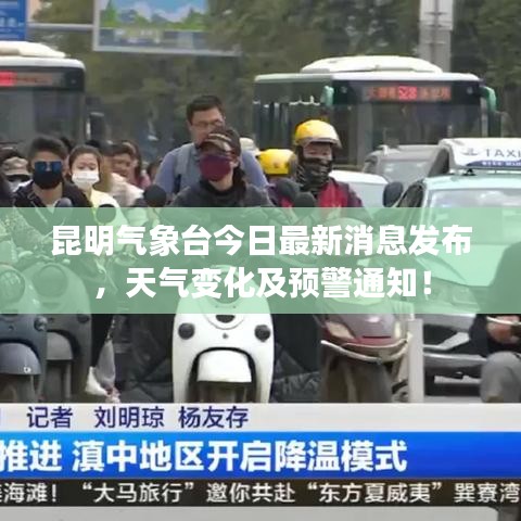 设计风格指南 第23页