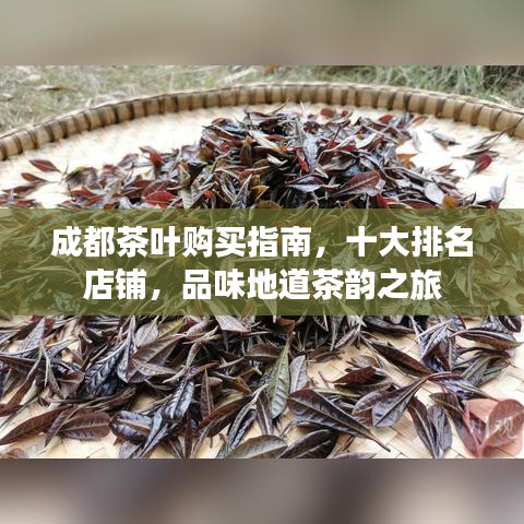 成都茶叶购买指南，十大排名店铺，品味地道茶韵之旅