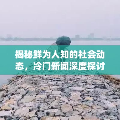 揭秘鲜为人知的社会动态，冷门新闻深度探讨今日最新消息