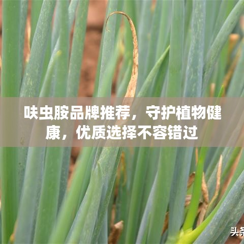 呋虫胺品牌推荐，守护植物健康，优质选择不容错过