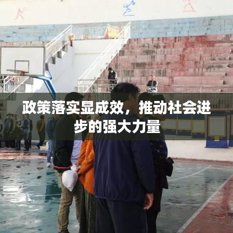 政策落实显成效，推动社会进步的强大力量