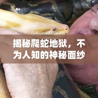 揭秘爬蛇地狱，不为人知的神秘面纱（百度深度解析）
