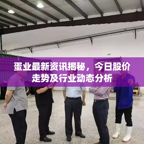 蛋业最新资讯揭秘，今日股价走势及行业动态分析
