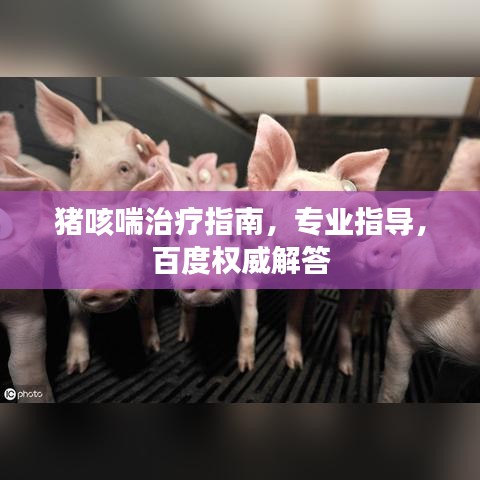 猪咳喘治疗指南，专业指导，百度权威解答