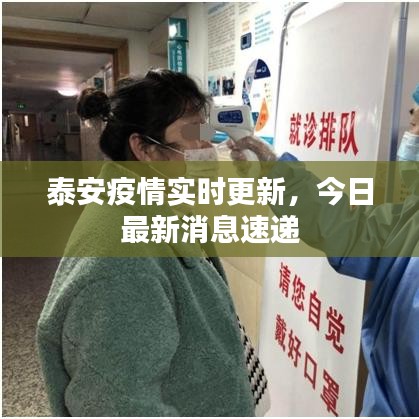 神清气朗