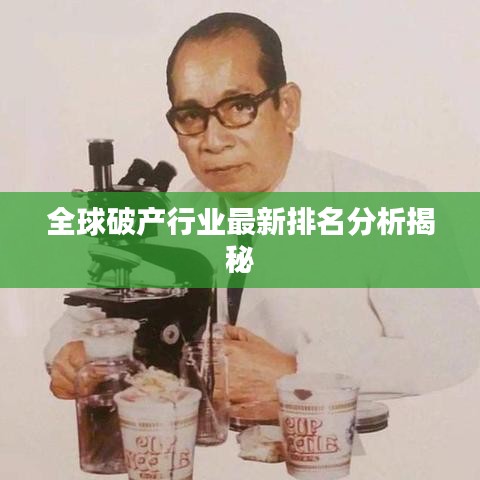 全球破产行业最新排名分析揭秘