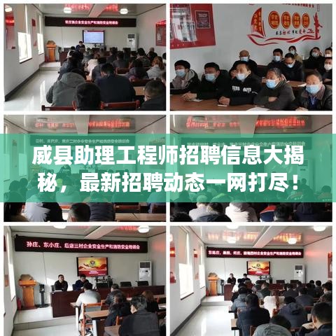 威县助理工程师招聘信息大揭秘，最新招聘动态一网打尽！