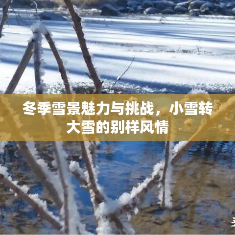 冬季雪景魅力与挑战，小雪转大雪的别样风情