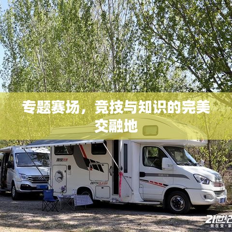 专题赛场，竞技与知识的完美交融地