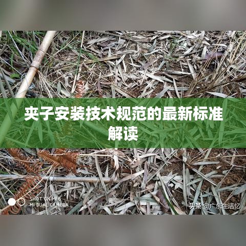夹子安装技术规范的最新标准解读