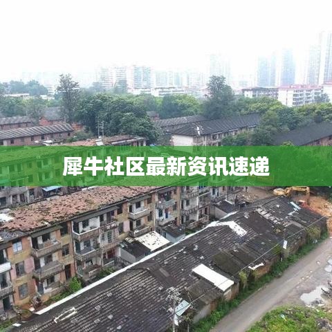 犀牛社区最新资讯速递